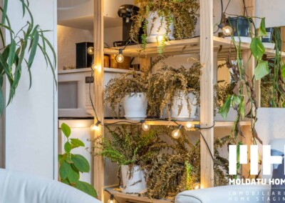 http://Detalle%20(1)