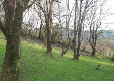 http://IMG_3785